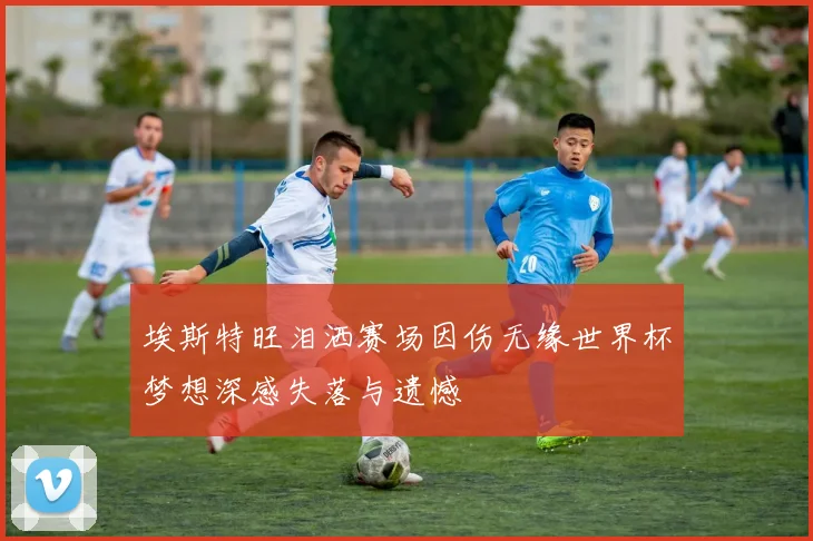 埃斯特旺泪洒赛场因伤无缘世界杯梦想深感失落与遗憾